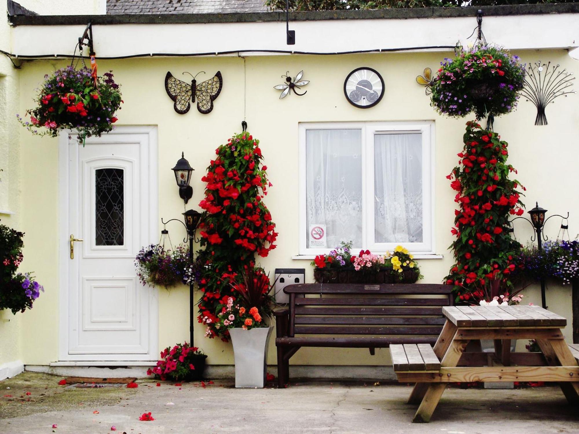 Bed and Breakfast Jasmine House New Quay Exteriér fotografie